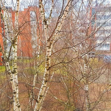 Birch View Apartment Jełgawa Zewnętrze zdjęcie