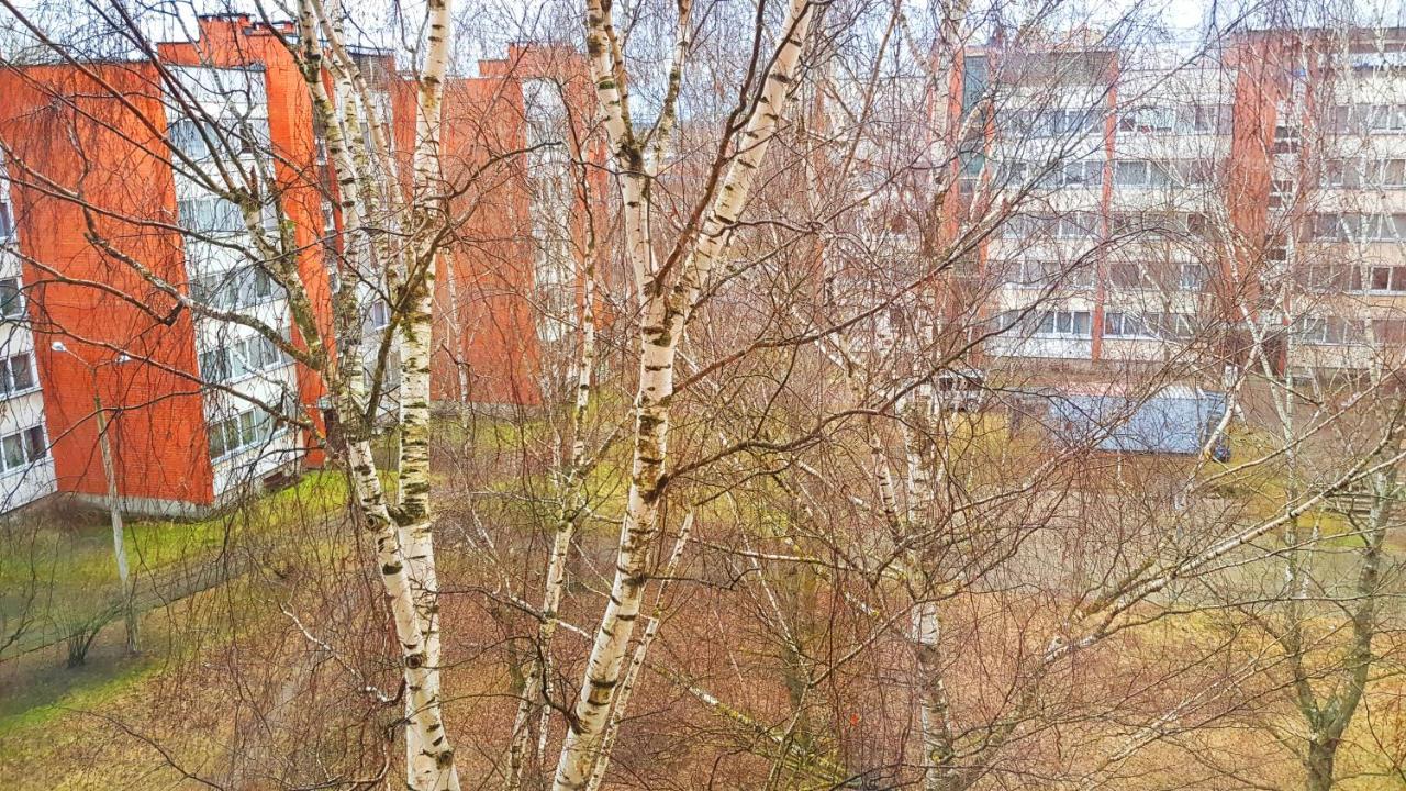 Birch View Apartment Jełgawa Zewnętrze zdjęcie