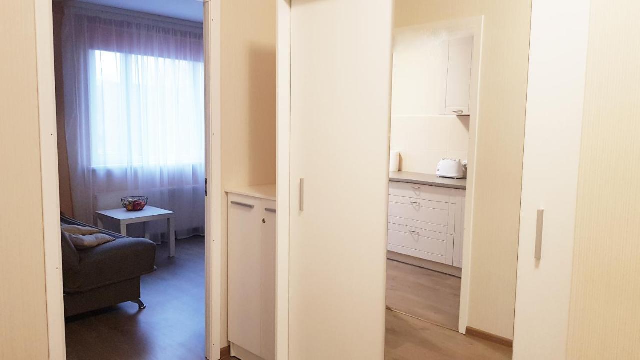Birch View Apartment Jełgawa Zewnętrze zdjęcie